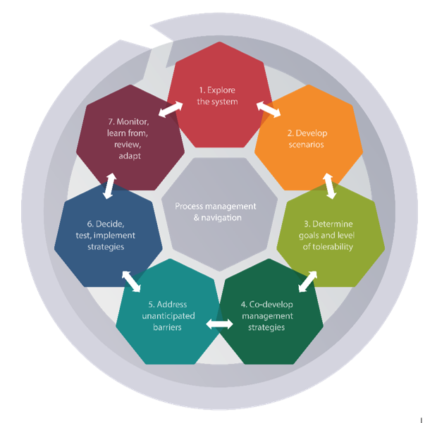 Guidelines For The Governance Of Systemic Risks IRGC Systems 