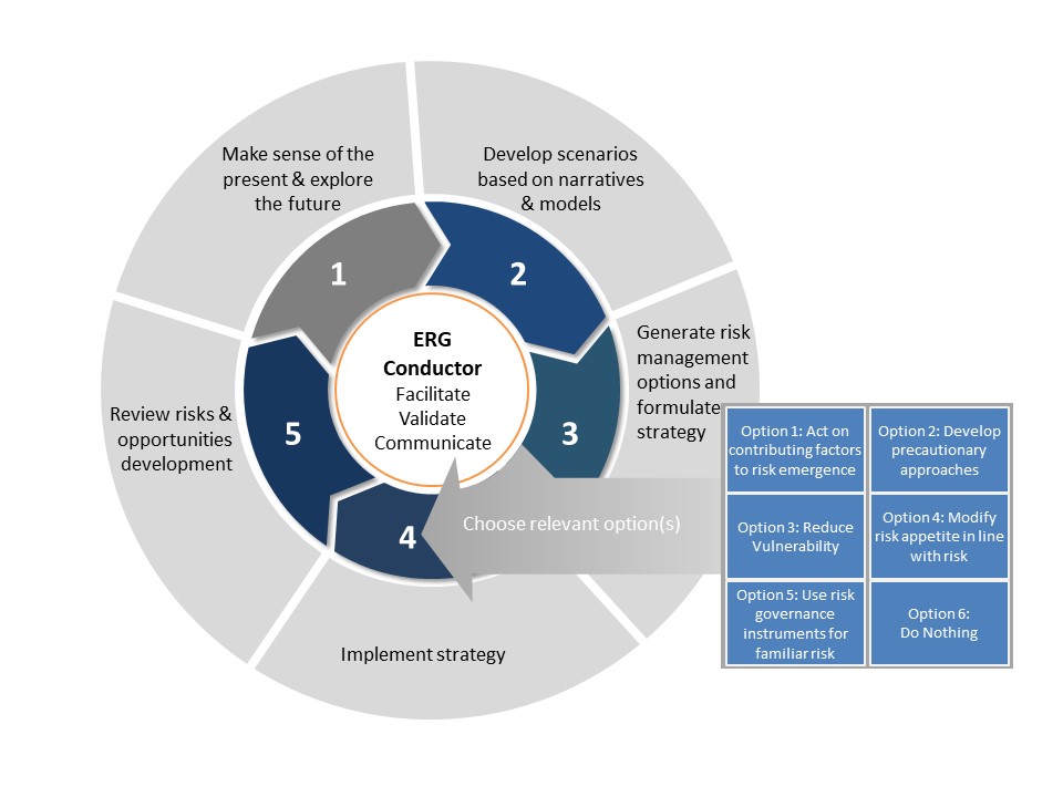 Guidelines for the Governance of Emerging Risks IRGC